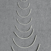 aguja curva 1 foto
